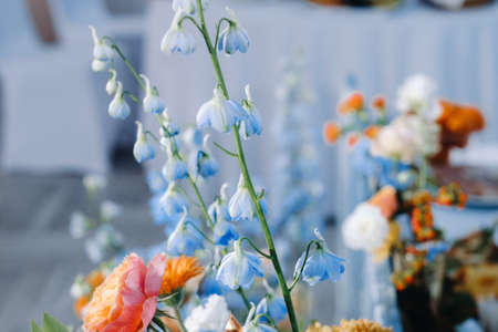 Decorated Table for a wedding reception in a restaurant .Wedding decor.