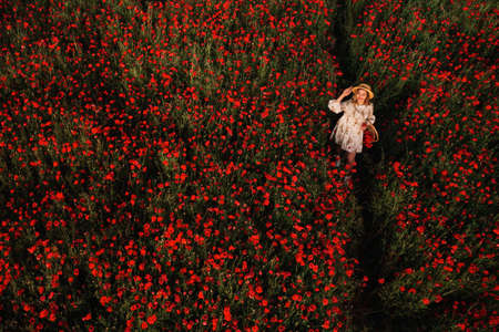 a girl in a dress with a hat and with a basket in a field with poppies.の写真素材