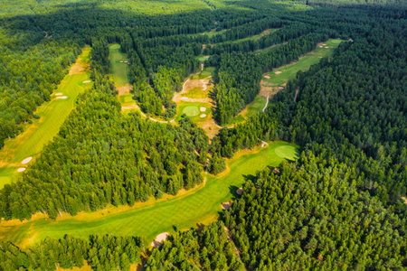 Top view of the golf course located in a wooded area.の写真素材