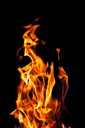 fire burning on a black background. Red fiery flameの写真素材