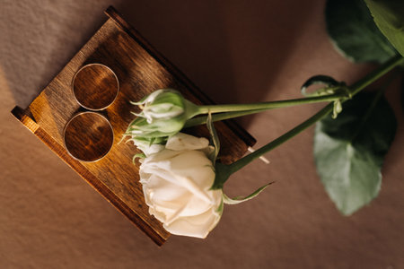 Designer wedding rings lying on the surface with a rose. Two wedding rings.の写真素材