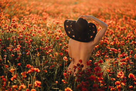 naked girl from behind in a black hat in a poppy field at sunset.の写真素材