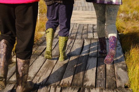 People in boots walk along a wooden path in a swamp in Yelnya, Belarus.の写真素材