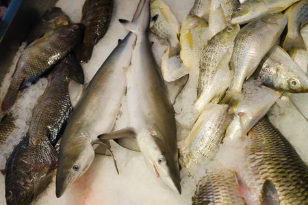 Several types of fish are arranged on ice at a market. The scene captures the early morning hustle, showcasing the variety and freshness of seafood available to shoppers.の写真素材