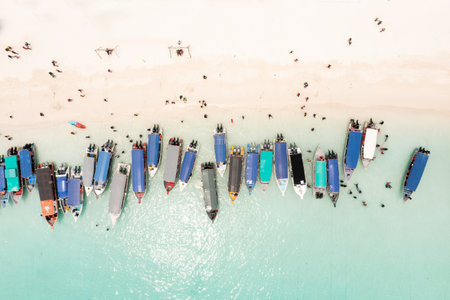 Aerial view of Turtle Beach and tourist boats on Redang Island in Malaysia. Tropical beach in Malaysia.の写真素材