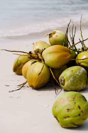 A cluster of fresh green coconuts rests on the warm sandy beach, close to gently lapping waves under a clear blue sky and bright sunlight.の写真素材