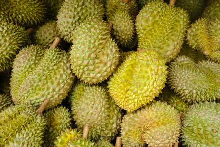 Fresh durians piled high at a local market in Southeast Asia during midday, showcasing their unique spiky exterior and vibrant green colorの写真素材