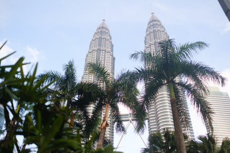 KUALA LUMPUR. Malaysia - August 12, 2025. View of the Petronas Twin Towers and palm trees in the city center on a sunny day.のeditorial素材