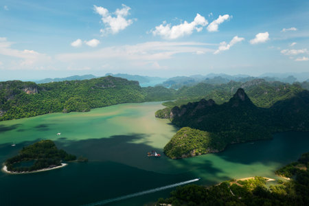 Top view of the river and mountains in KILIM Geopark on a sunny day. Langkawi Island. Malaysia.
