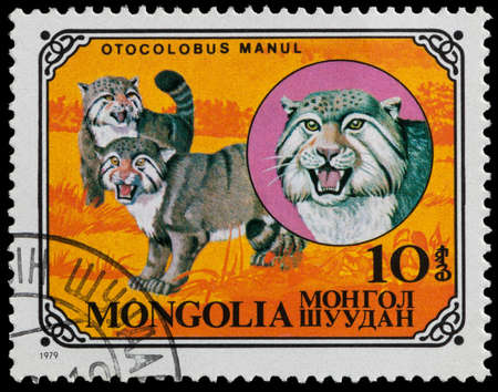 MONGOLIA - CIRCA 1979: a stamp printed in Mongolia shows the cat family, Manul, circa 1979のeditorial素材