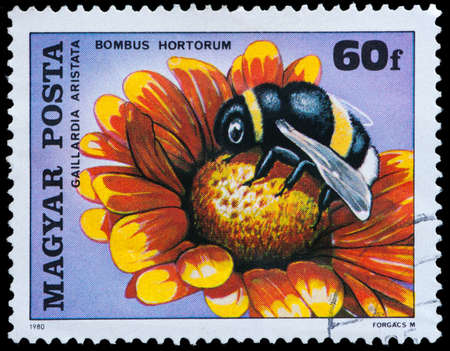 HUNGARY - CIRCA 1980: A stamp printed in Hungary shows a Achillea and bee, circa 1980のeditorial素材