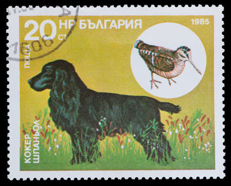 series Hunting dogs
