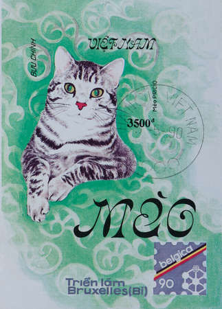 VIETNAM - CIRCA 1990: A stamp printed in Vietnam, shows cat, circa 1990