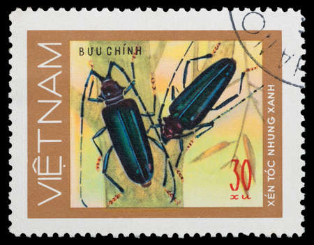 VIETNAM - CIRCA 1989: A stamp printed in the Vietnam, shows the beetles, circa 1989