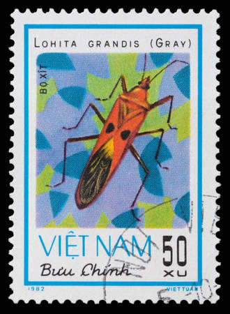 VIETNAM - CIRCA 1982: A stamp printed in Vietnam shows animal insect stink bug, circa 1982のeditorial素材
