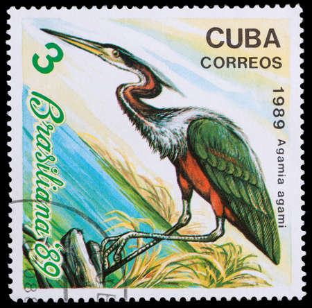 CUBA - CIRCA 1989: A stamp printed in the Cuba, shows the exotic bird, agamia agami, circa 1989