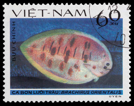 VIETNAM - CIRCA 1982: A Stamp printed in VIETNAM shows Brachirus orientalis , circa 1982