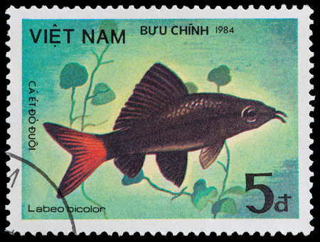 VIETNAM - CIRCA 1984: A stamp printed in Vietnam shows Fish - Labeo bicolor, circa 1984のeditorial素材