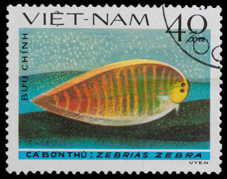 VIETNAM - CIRCA 1982: A Stamp printed in VIETNAM shows Crested Flounder - Zebrias zebra , circa 1982