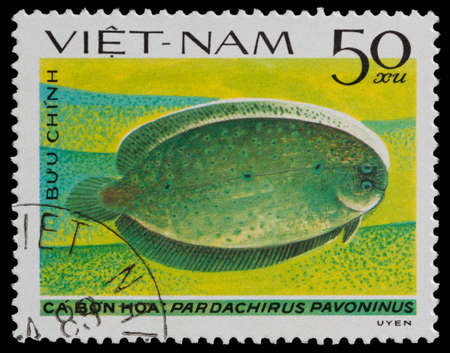 VIETNAM - CIRCA 1982: A Stamp printed in VIETNAM shows Crested Flounder - Pardachirus pavoninus,...