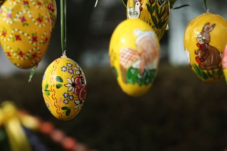 egg yellowの写真素材