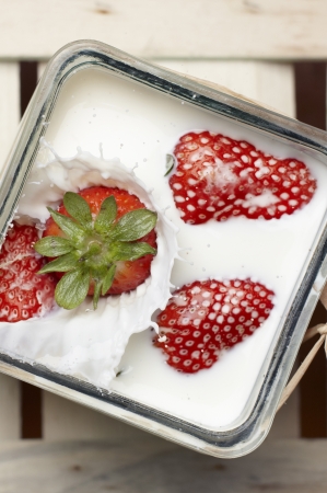 Large ripe red strawberry falling and splashing into milk containing three other floating strawberriesの写真素材
