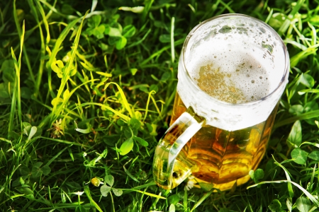 Mug of beer in green grass with copy spaceの写真素材