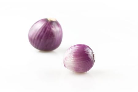 Two onionsの写真素材