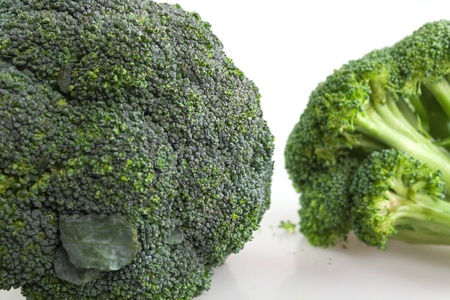 Fresh broccoli on the white backgroundの写真素材