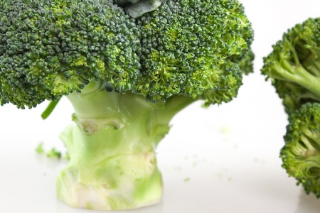 Fresh broccoli on the white background