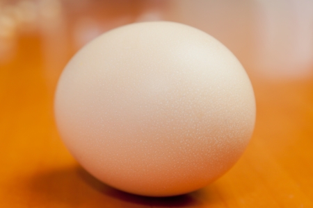 An eggの写真素材