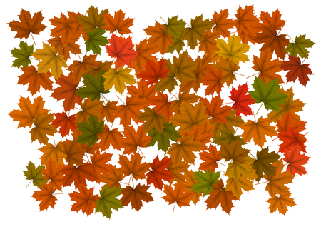 Autumn background with maple leavesの写真素材