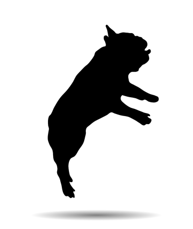 Silhouette of a French bulldog, jumpのイラスト素材