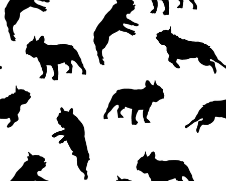 Seamless pattern Silhouette of a French bulldog on a white backgroundの写真素材