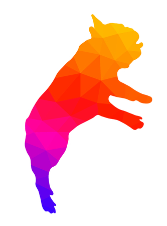 Silhouette of a French bulldog, colorful low polygonal illustrationのイラスト素材