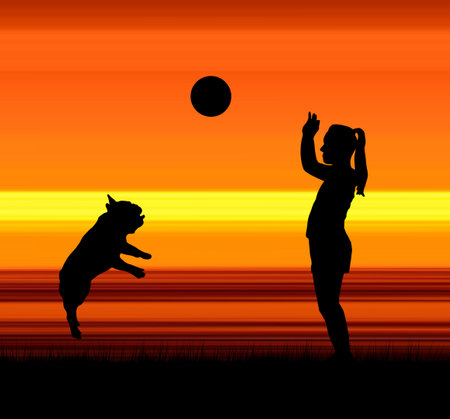 French bulldog and girl are playing volleyballの写真素材