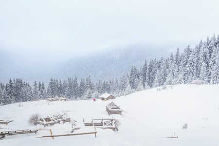 Ukrainian Carpathian mountains in winter, lots of snow, a great frost, tourism.の写真素材