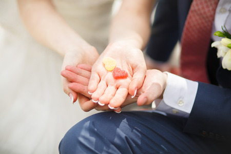 Stylish bride and a very beautiful bride at a weddingの写真素材