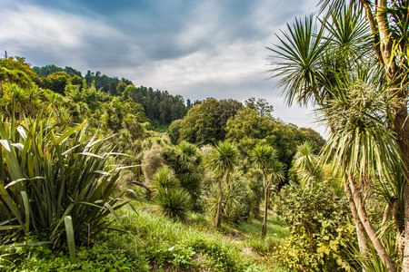 Wonderful nature of the Georgian Tbilisi Batumi Kutaisi Alazan Alazan Valleyの写真素材