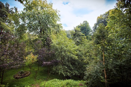 Wonderful nature of the Georgian Tbilisi Batumi Kutaisi Alazan Alazan Valleyの写真素材