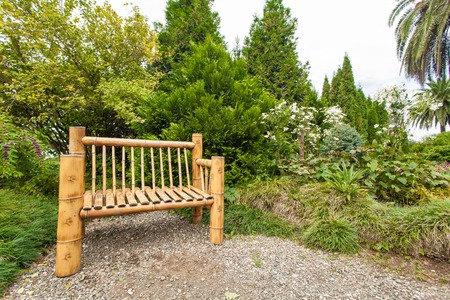 Wonderful nature of the Georgian Tbilisi Batumi Kutaisi Alazan Alazan Valleyの写真素材