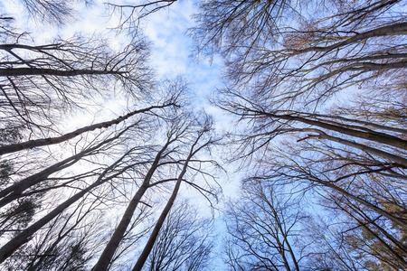 Christmas holidays in Western Ukraine in Lvivの写真素材