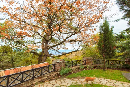 Wonderful nature of the Georgian Tbilisi Batumi Kutaisi Alazan Alazan Valleyの写真素材