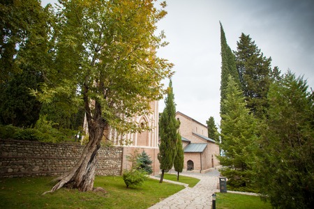 Wonderful nature of the Georgian Tbilisi Batumi Kutaisi Alazan Alazan Valleyの写真素材