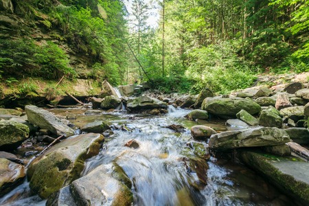stream mountain river park creek Ukraineの写真素材