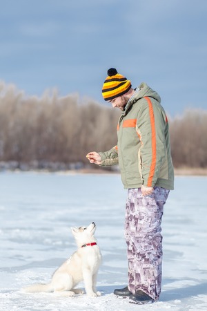 man playing with a husky puppy winterの写真素材