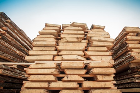 nature timber wood sawn materialの写真素材