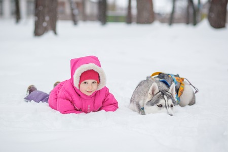 girl Husky in the snow in the forest winterの写真素材