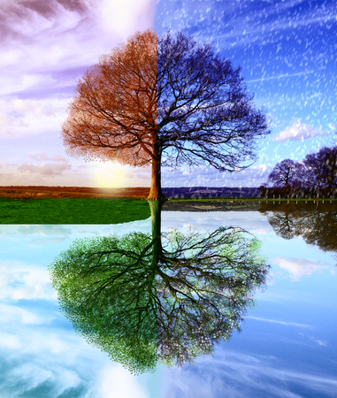 Seasonsの写真素材