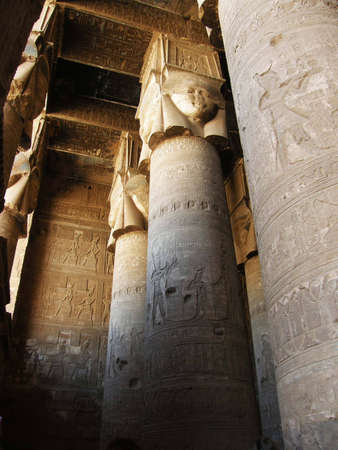 olympus digital camera         のeditorial素材